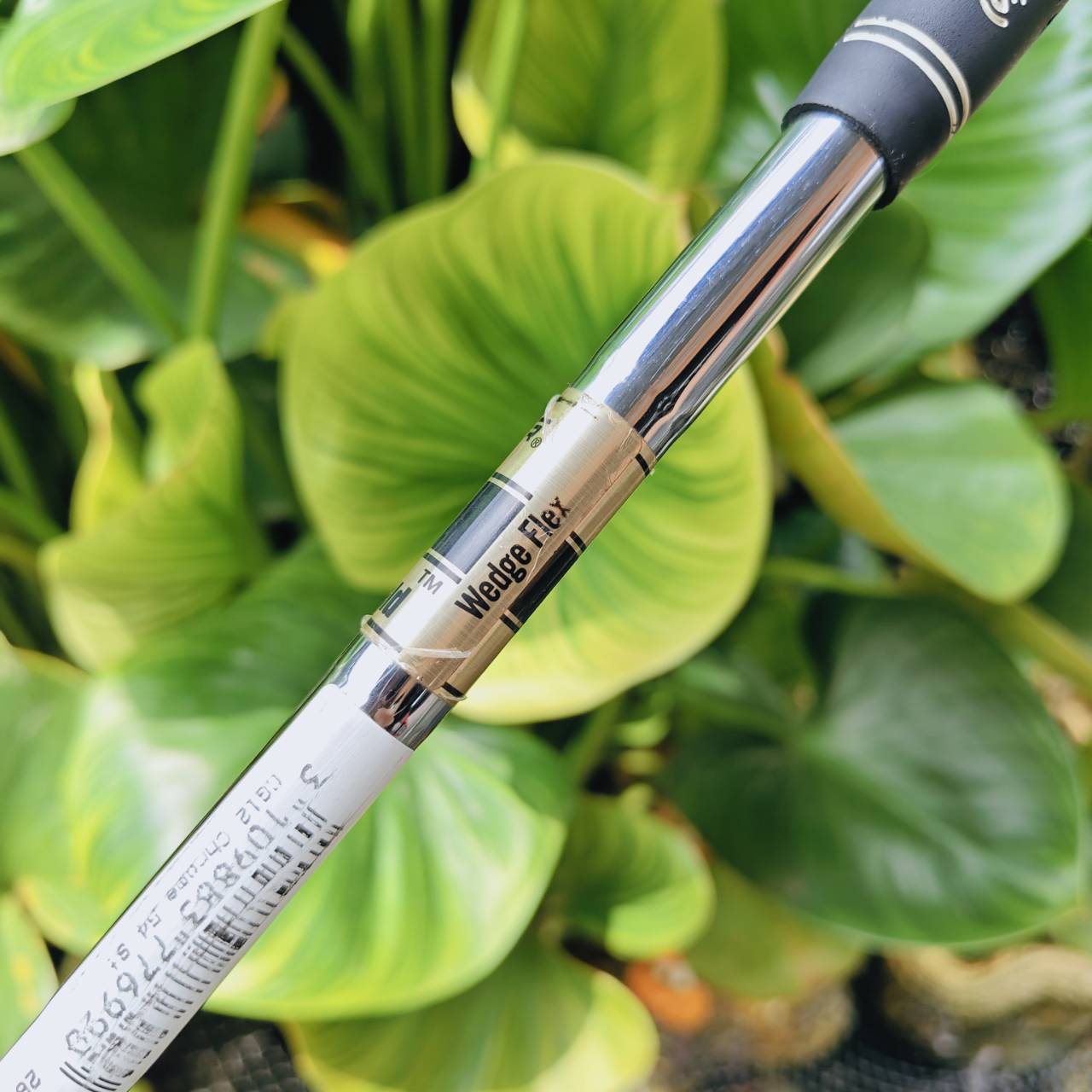 WEDGE CG12 ZIP GROOVE 54° BOUNCE 12 – ช็อตรอบกรีนแม่นยำ ควบคุมง่าย ระเบิดทรายได้ดี!