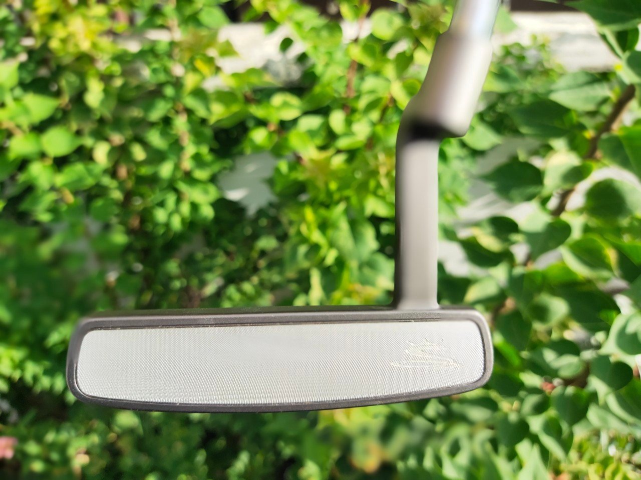 Cobra Golf Townsville 335g Golf Putter 3.5* Loft 72* Lie 35"