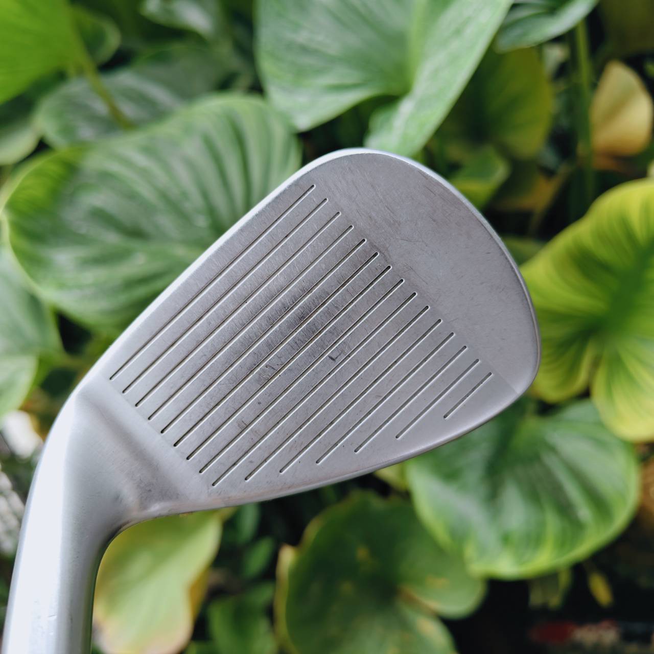 * เหล็ก 8 แตก *⛳ TaylorMade P•790 (2021) Metal Meets Mettle จุดที่โลหะพบกับหัวใจนักสู้ของคุณ