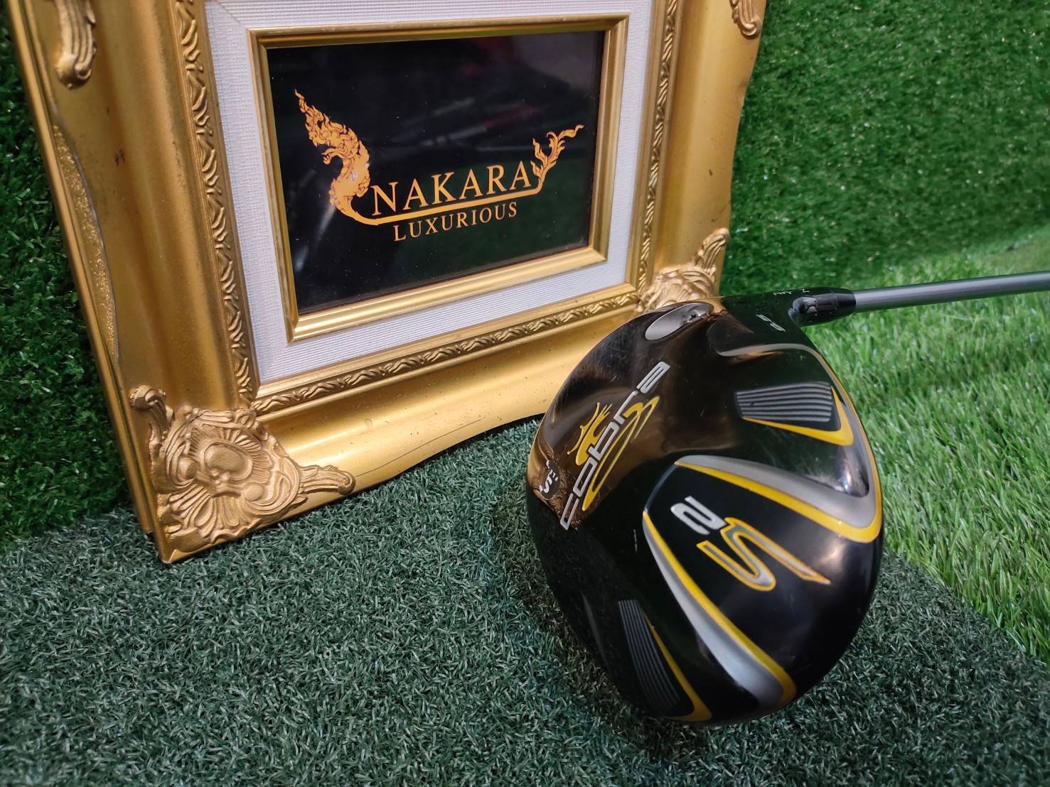 Driver COBRA S2