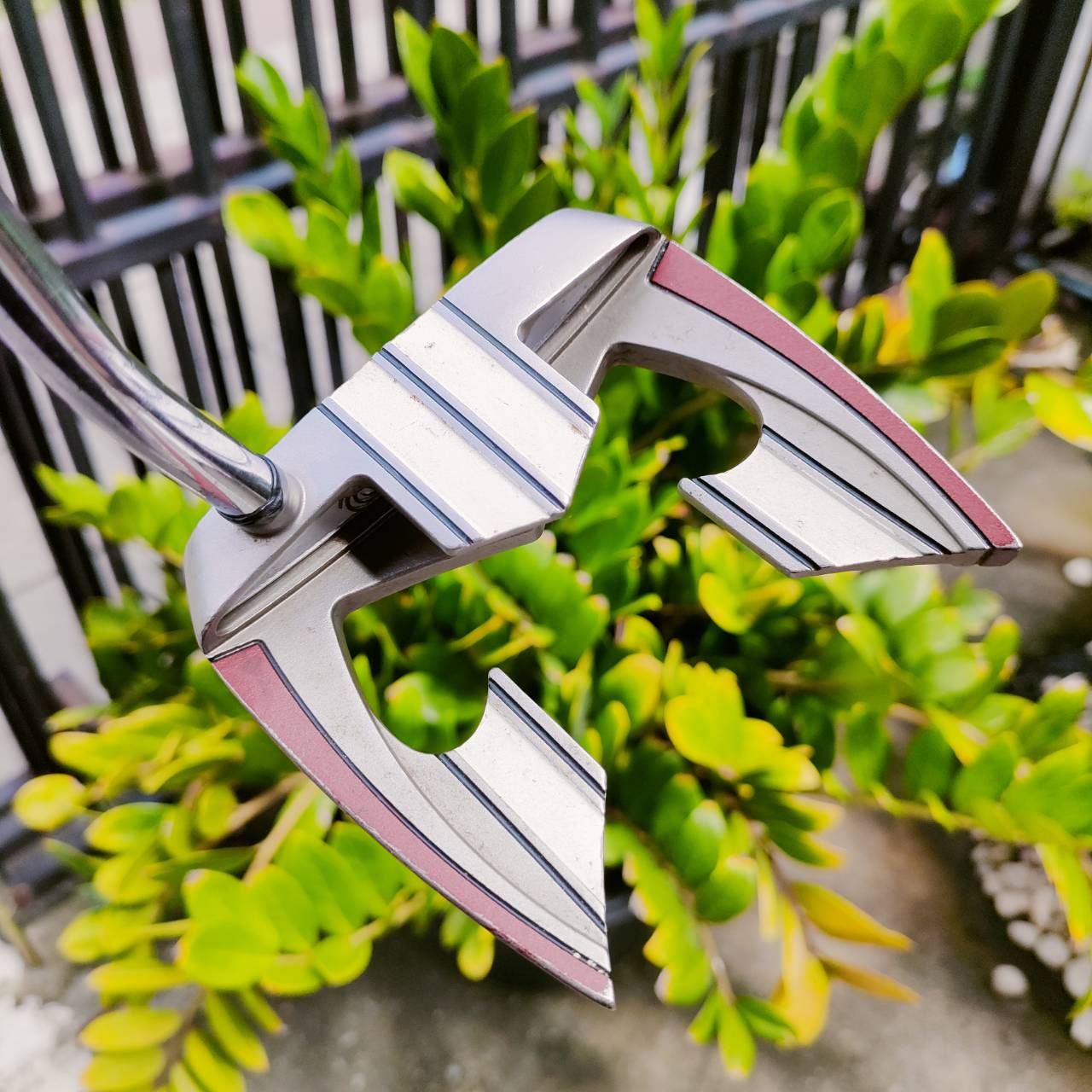 PUTTER ODYSSEY XG TERON เป็นรุ่นปีกค้างคาวสองข้าง คล้ายๆเบอร์ 7 แต่พัตต์สนุกกว่า นิ่งมาก บล๊านซ์สุด หน้าสัมผัสพิเศษ ไม้กอล์ฟพรีเมี่ยมมือสอง ของแท้ By NakaraLuxurious