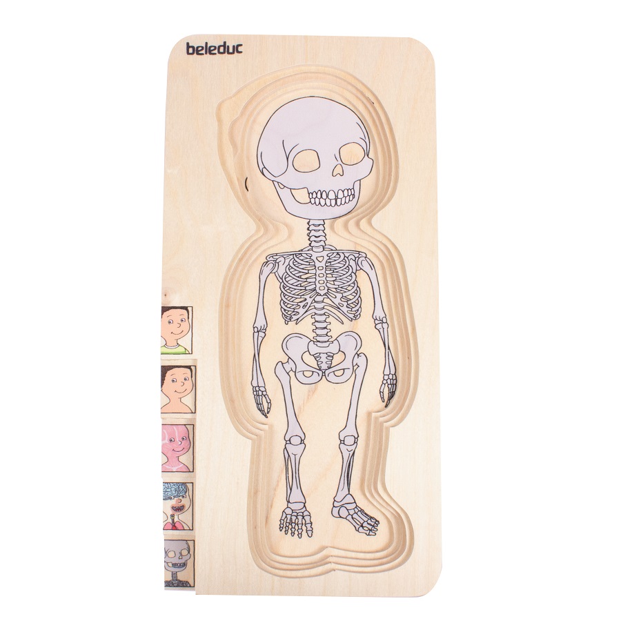 ชุดเกมปริศนา-ร่างกายเด็กชาย , ของเล่นไม้, ของเล่นเสริมพัฒนาการ, ของเล่นเด็ก, สื่อการสอนเด็ก