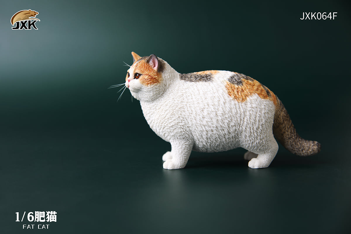 [สั่งจอง]JXK JXK064 1/6 : Fat Cat