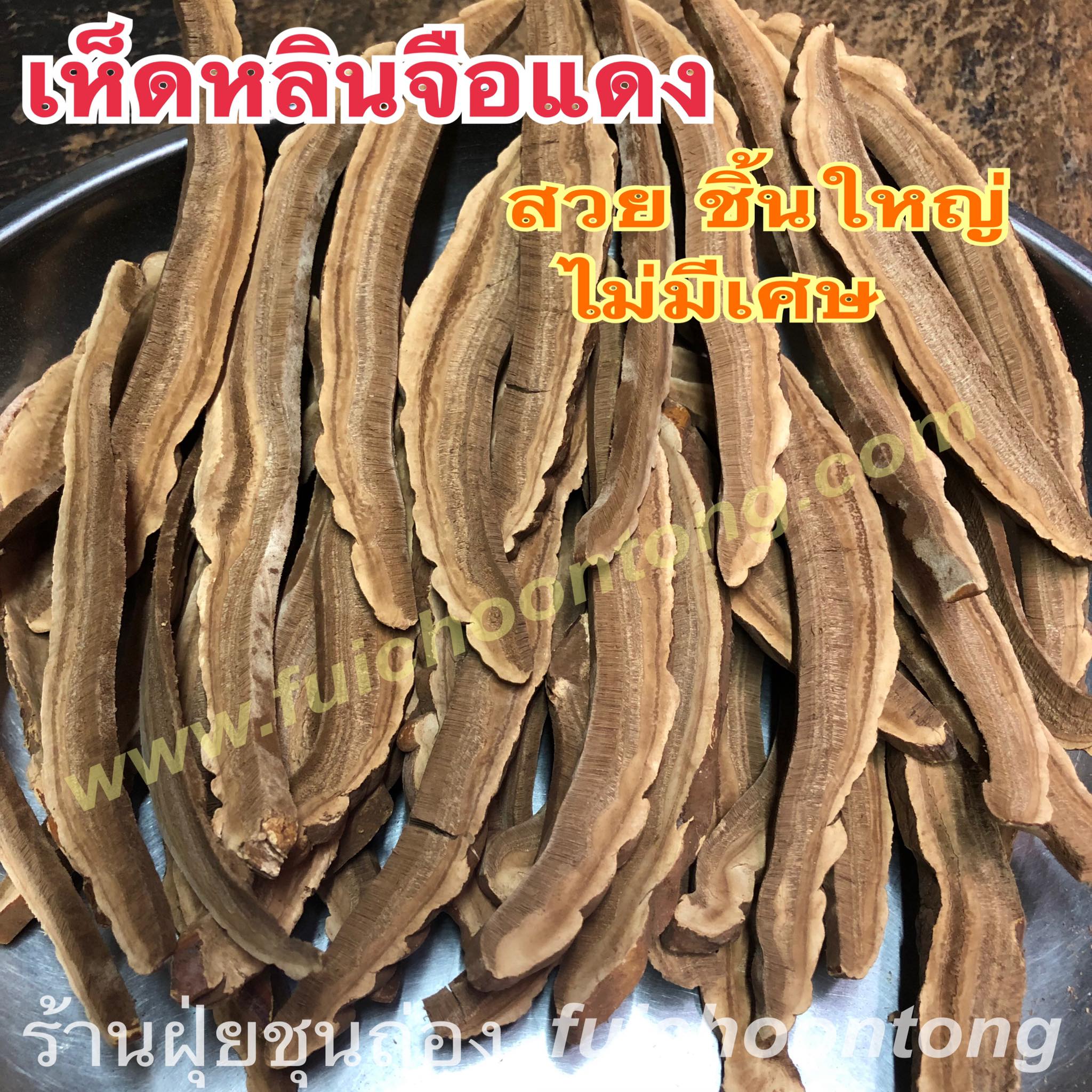 เห็ดหลินจือ แดง อบแห้ง