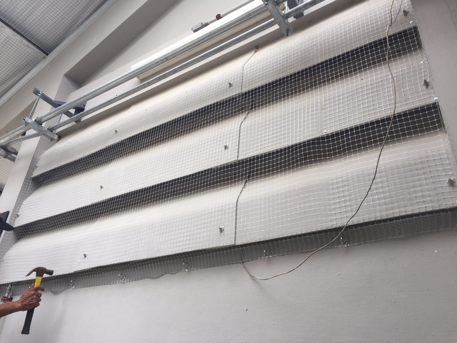 งานติดตาข่ายกันนก ตึกกายวิทยาทาน มหาวิทยาลัยมหิดล