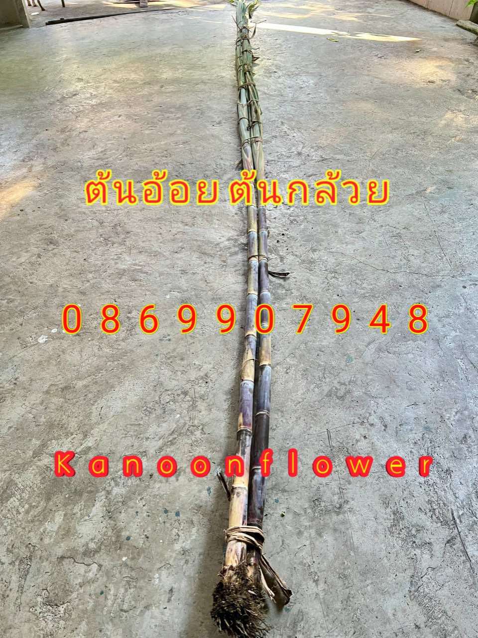 ต้นอ้อยต้นกล้วย (ขันหมาก)