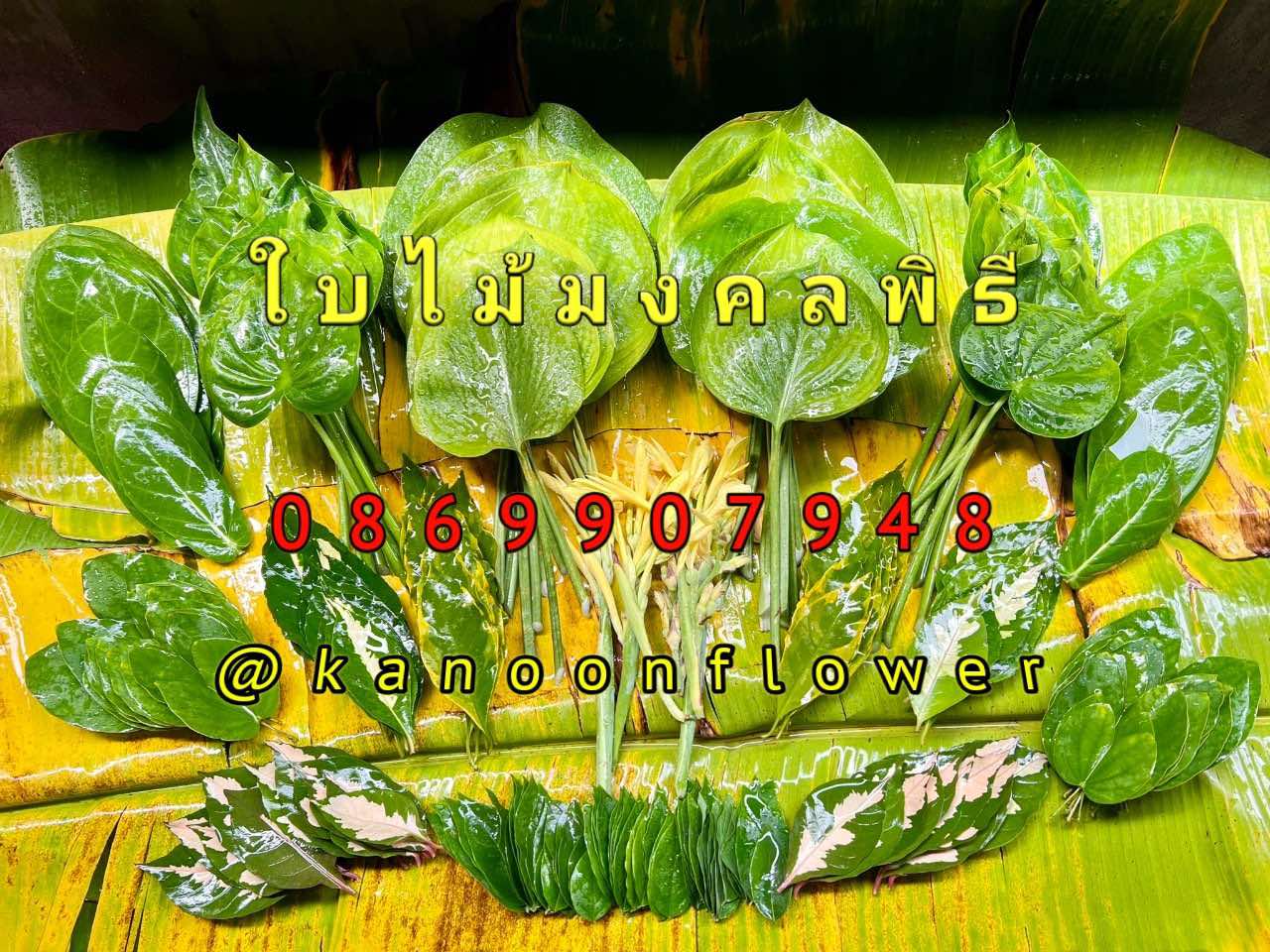 ใบไม้มงคลพิธี ตั้งศาล