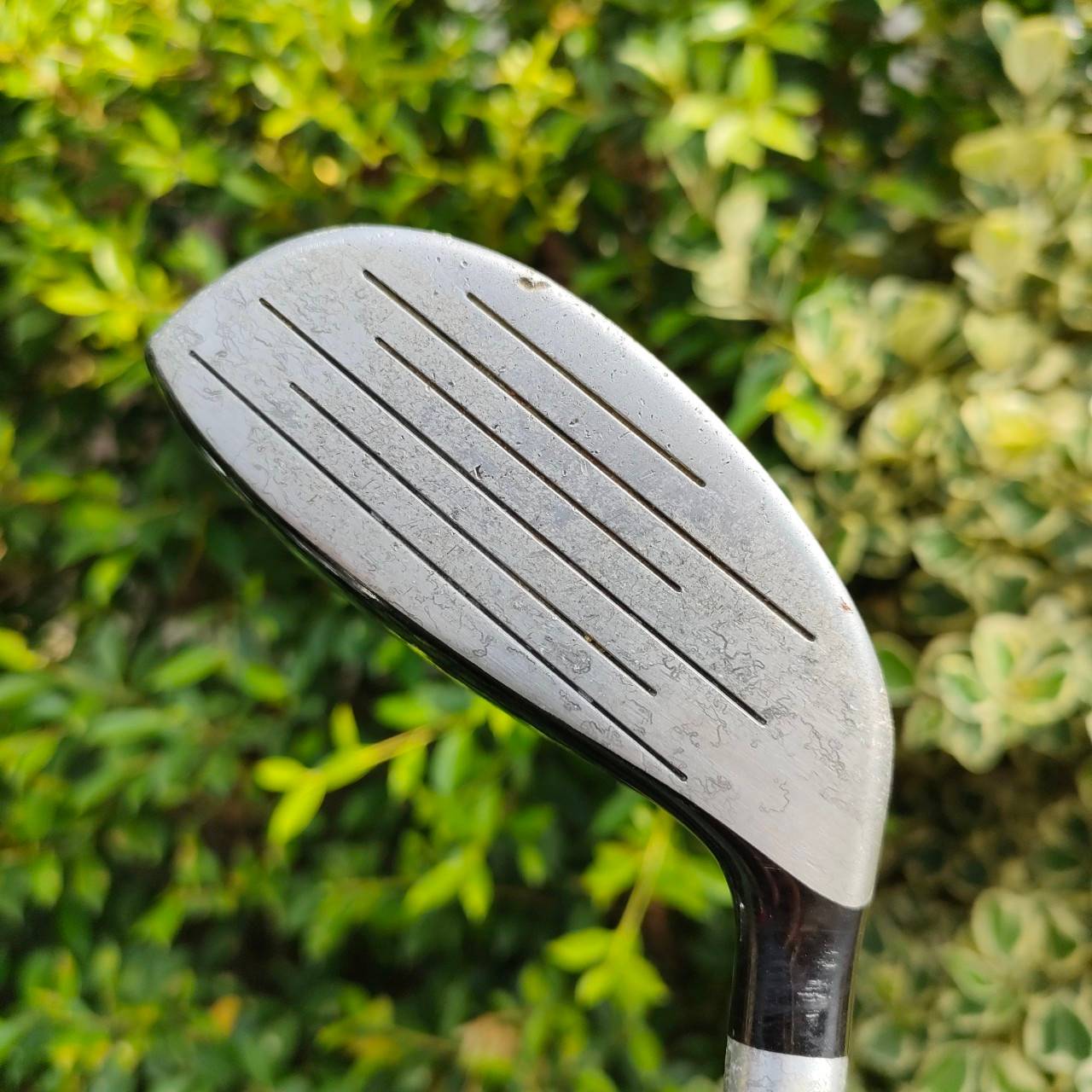 ** ไม้กอล์ฟครบชุดสำหรับท่านที่ถนัดซ้าย ** FULLSET HIPPO HYBRID ทั้งชุดประกอบด้วย หัวไม้ 1 3 เเละ hybrid 3,4 ชุดเหล็ก 5-9 เเละ PW SW WEDGE องศา 60 PUTTER พร้อมถุงกอล์ฟ เป็นไม้กอล์ฟที่ครบครัน พร้อมออกรอบได้เลย สำหรับท่านที่ถนัดซ้ายครับ