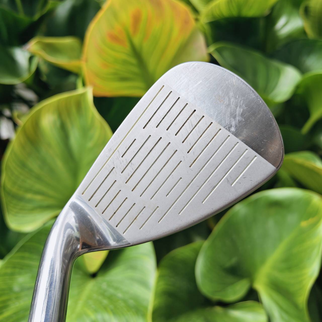 ** ไม้กอล์ฟสำหรับผู้หญิง ** SET BRIDGESTONE PRADISO LADY ชุดพรีเมี่ยมจากญี่ปุ่น 🔴