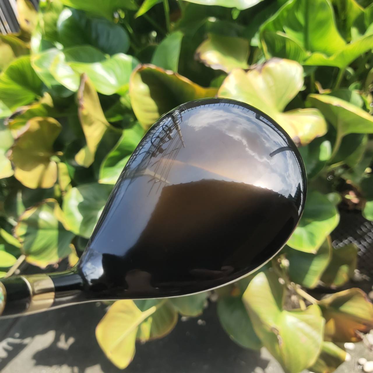 FW3 VOLTIO NINJA 880HI หน้าเด้งมาก ค่า COR 0.88 คือมาก ตีไกลสุดขั้ว ชนรั้ว ชนธงแน่นอน