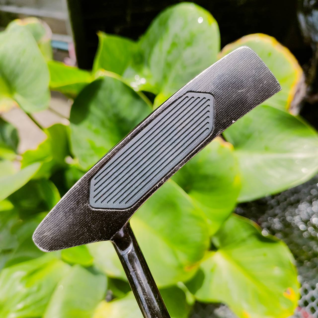 PUTTER BOBBY GRACE AMG-373 ความยาว 34 นิ้ว หายาก นานๆเข้ามาที น้ำหนักยอดเยี่ยม พัตต์นุ่มนวล หน้าสัมผัสสุดพิเศษ ไม้กอล์ฟพรีเมี่ยมมือสอง ของแท้ By NakaraLuxurious