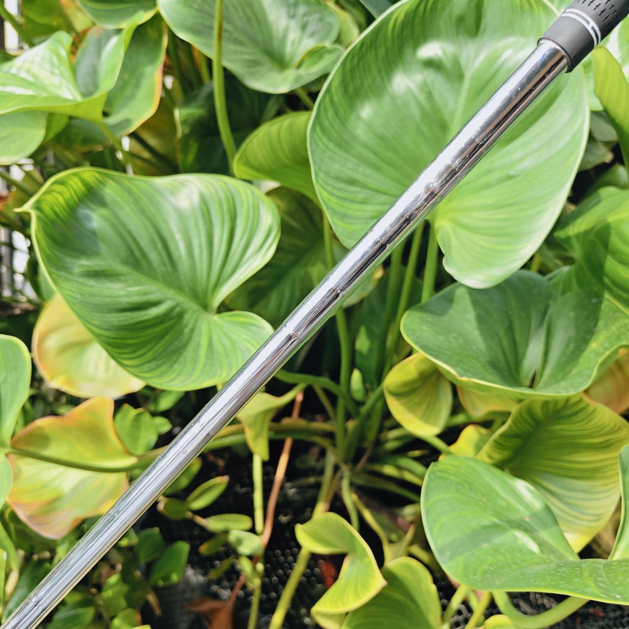 WEDGE PING TOUR-W – 54° | Bounce 10° ความแม่นยำรอบกรีนที่คุณต้องลอง!