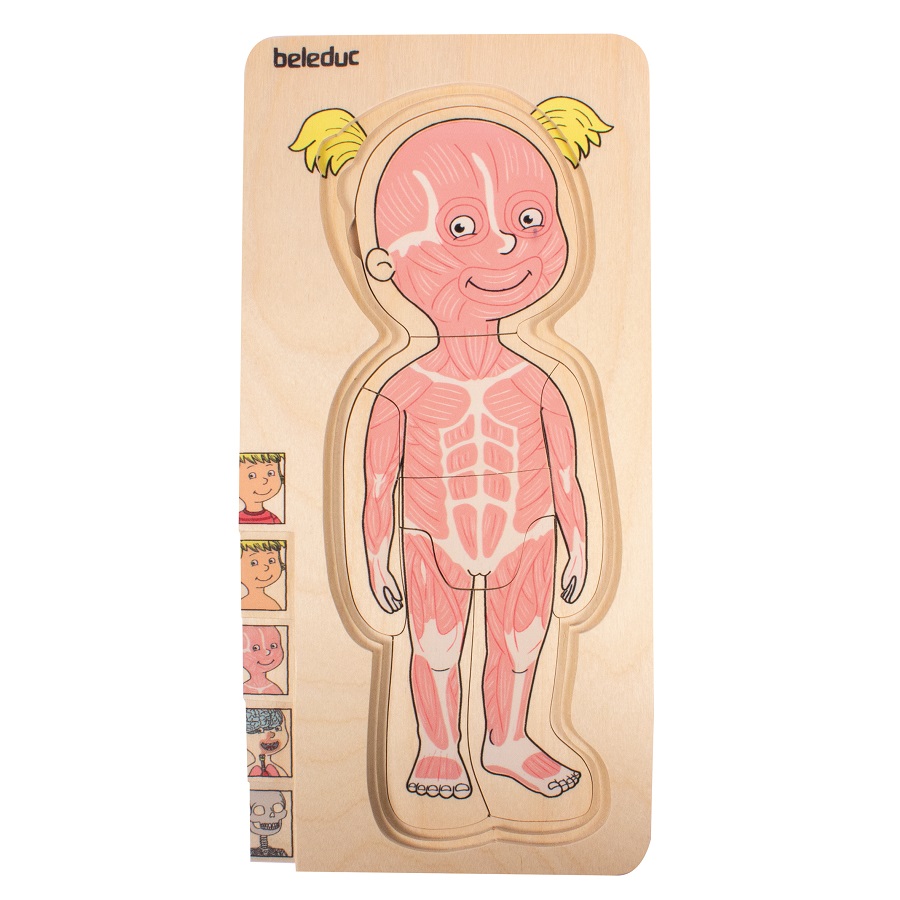 ชุดเกมปริศนา-ร่างกายเด็กหญิง , ของเล่นไม้, ของเล่นเสริมพัฒนาการ, ของเล่นเด็ก, สื่อการสอนเด็ก