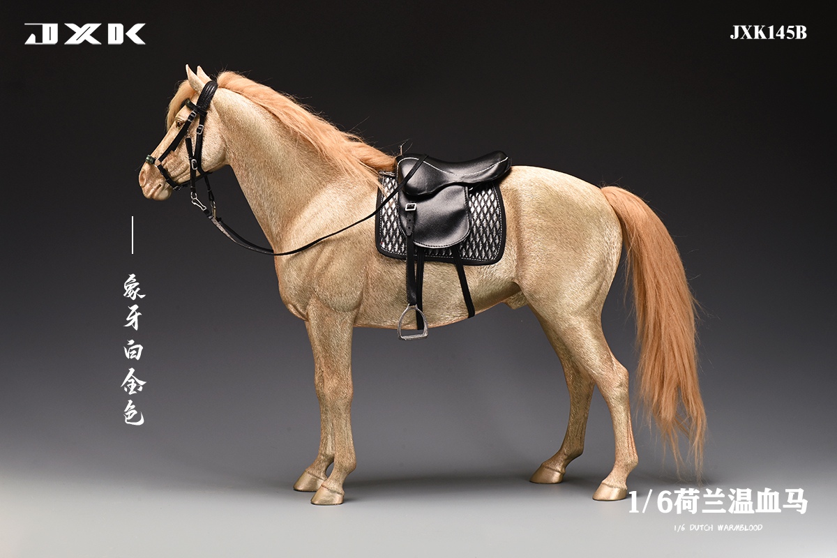 [สั่งจอง]JXK 1/6 : Dutch Warmblood