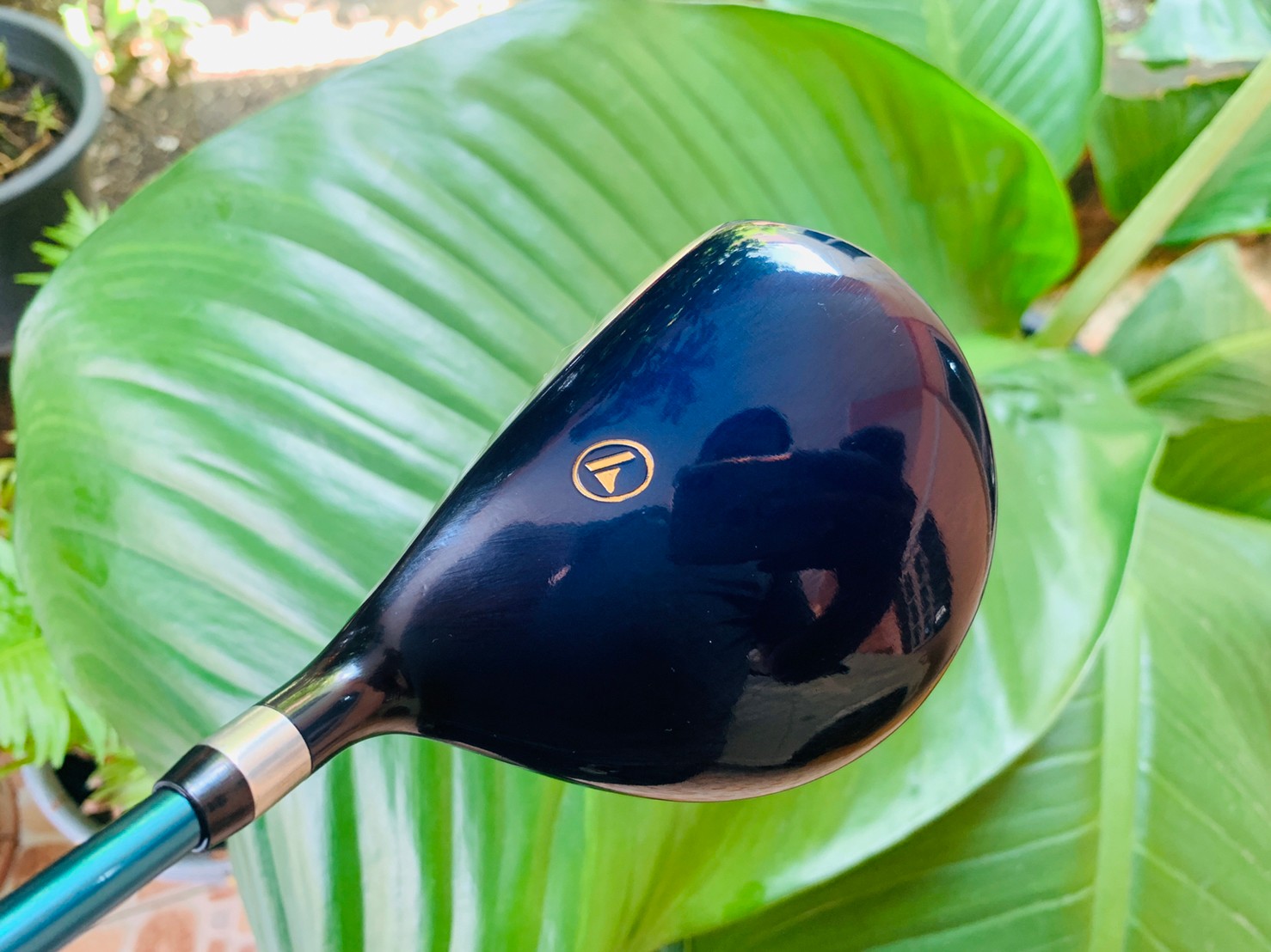 ไม้กอล์ฟครบชุดมือสอง PROKENNEX