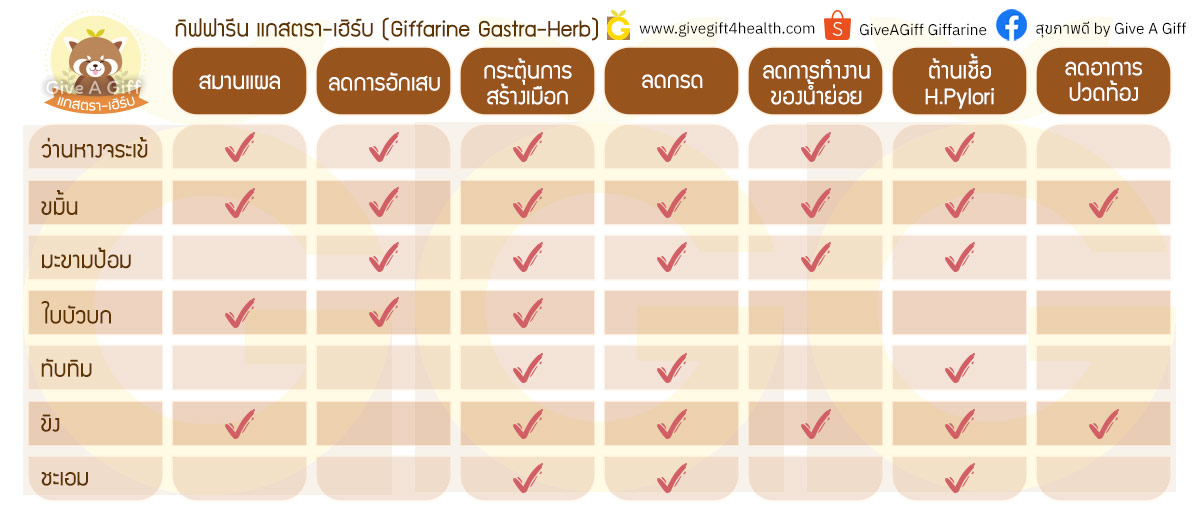 สรรพคุณสมุนไพรอันทรงคุณค่าทั้ง 7 ชนิด ในแกสตรา เฮิร์บ