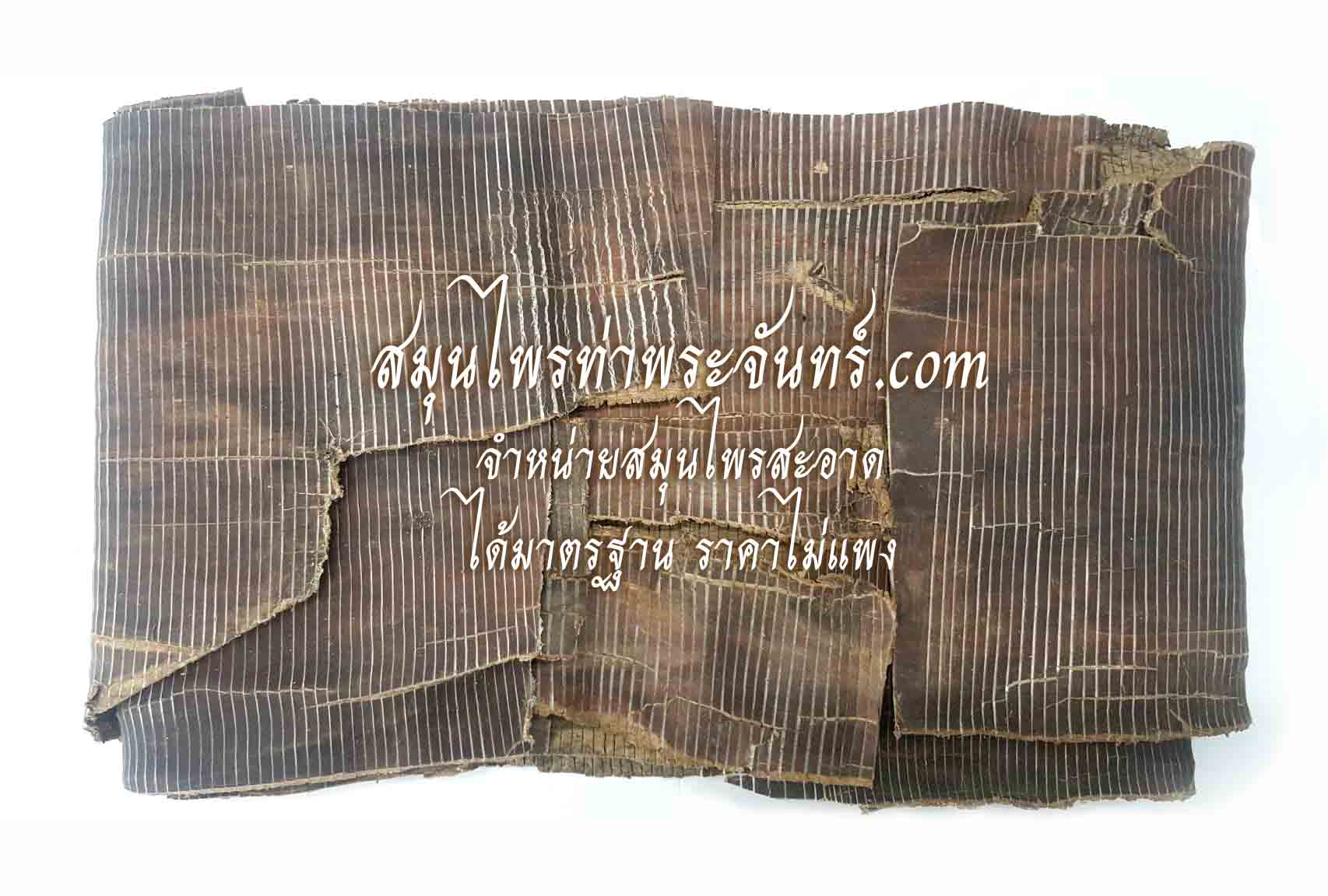 Dried Eucommia ulmoides