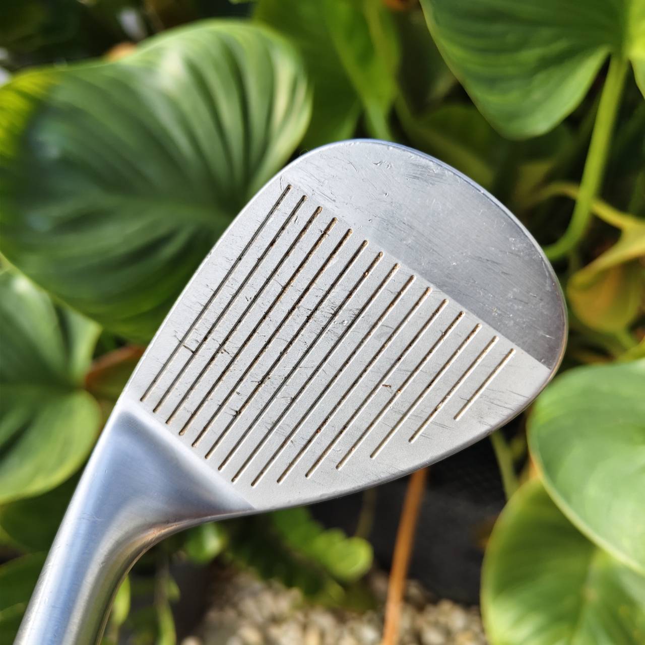 WEDGE FOURTEEN RM-22 องศา 56° Bounce 08 – แม่นยำทุกช็อต ใกล้กรีนไม่มีพลาด