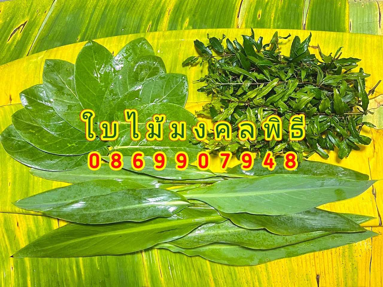 ชุดใบไม้มงคล9ชนิด