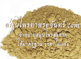 รากย่านางผง