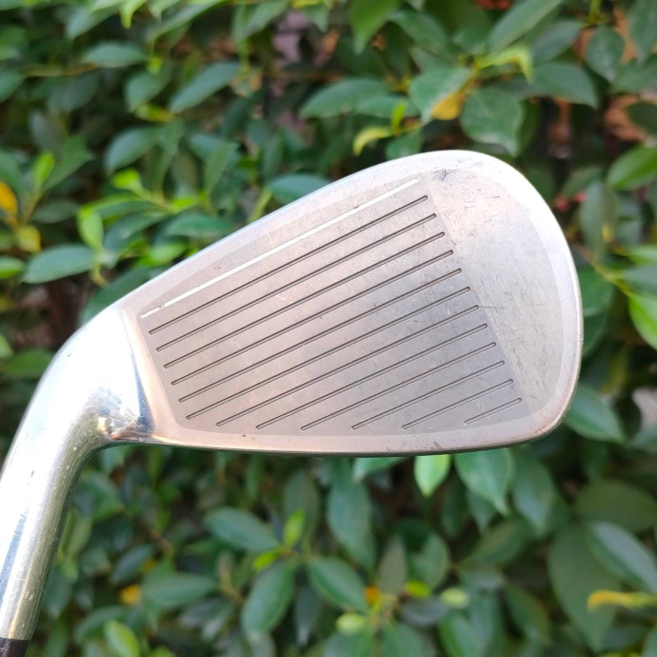 ** ไม้กอล์ฟสำหรับผู้หญิง ** ชุดเหล็ก YONEX CYBER STAR 5000FL มีเหล็ก 5-9 เเละ PW SW