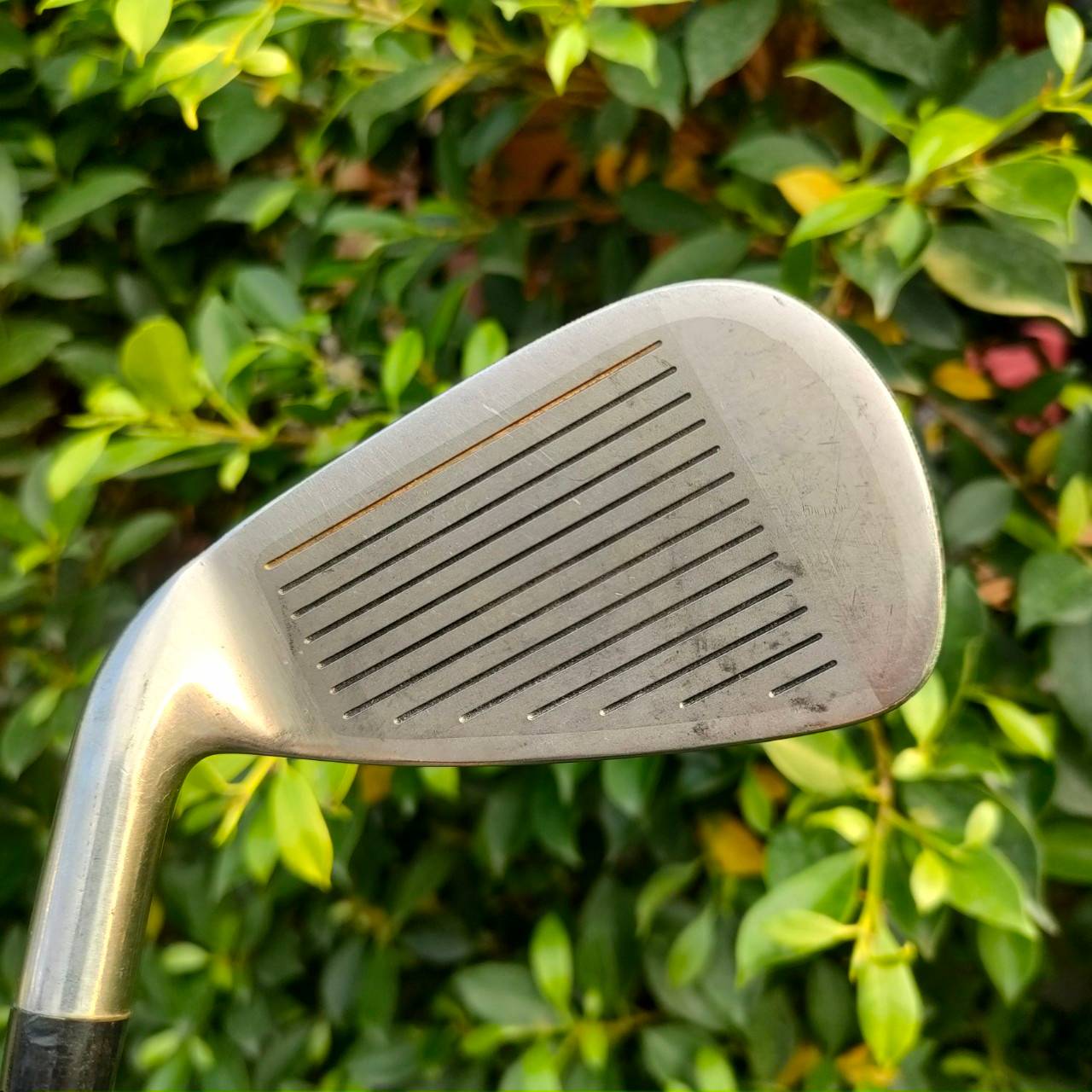 ชุดเหล็ก WILSON WIDE SWEET SPOT EX มีเหล็ก 3-9 เเละ PW SW ก้าน MEGALOTECH EX FLEX R เป็นเหล็กหน้าเด้ง มีแผ่นหน้าเด้ง ที่หน้าเหล็กเลยครับ และราคาคุ้มมาก ตีง่าย + ไกล ชัดเจนครับผม