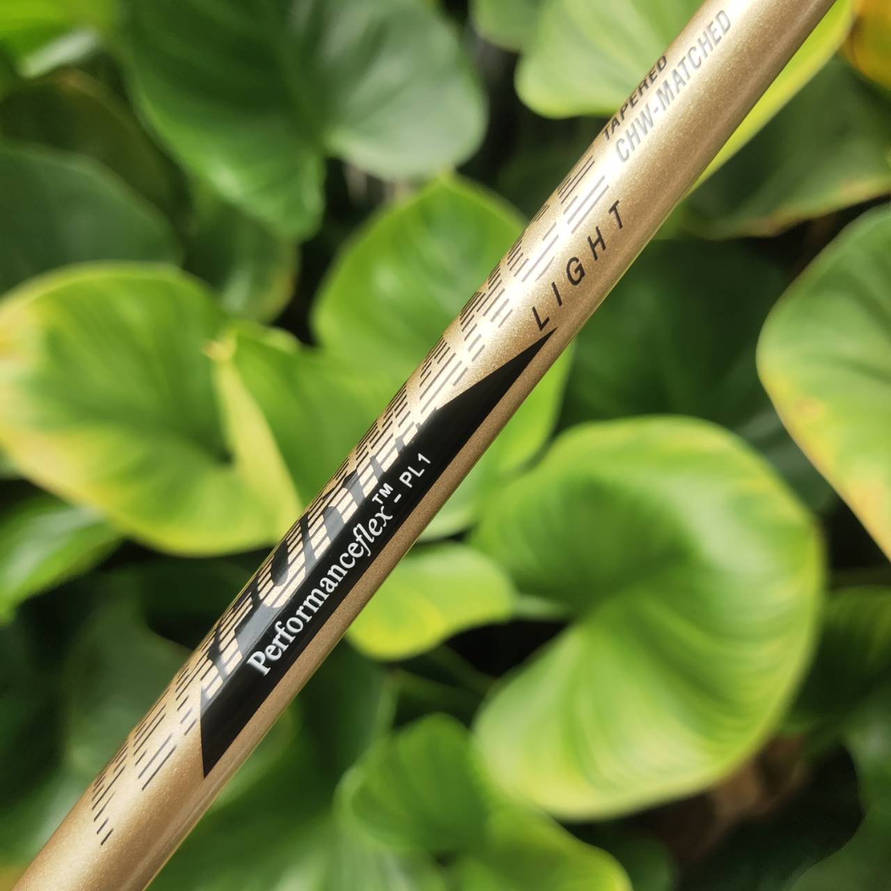 U.S. Kids Golf – Championship Series เหมาะสำหรับน้องๆ ความสูงประมาณ 145–155 cm