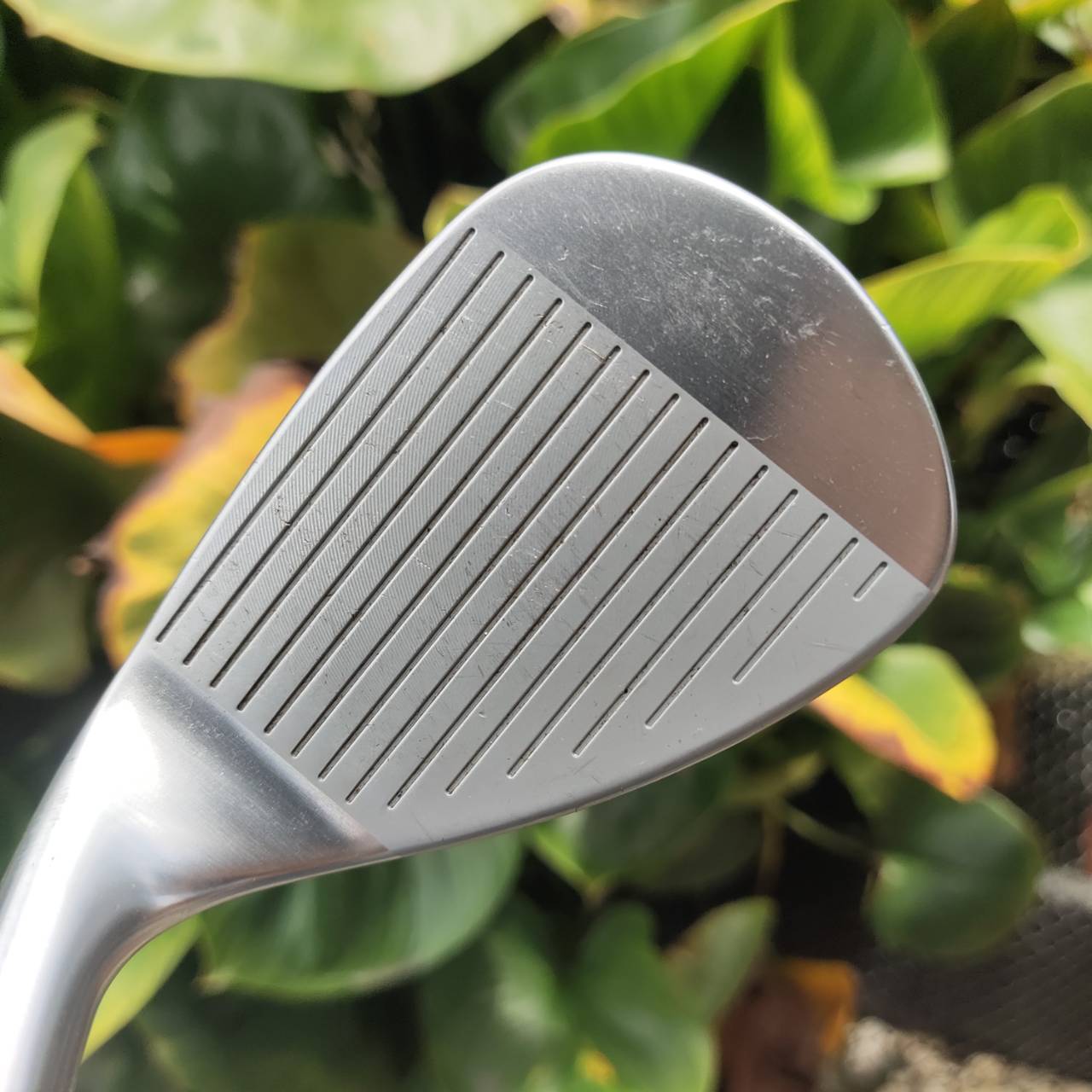 WEDGE TOURSTAGE X-WEDGE 56°/14° หน้าเหล็กมิลลิ่ง (Milled Face) และโซลแบบ Dual Grind