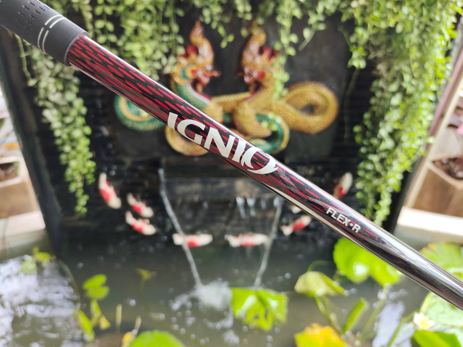 DRIVER IGNIO 10.5 FLEX R 460 CC.