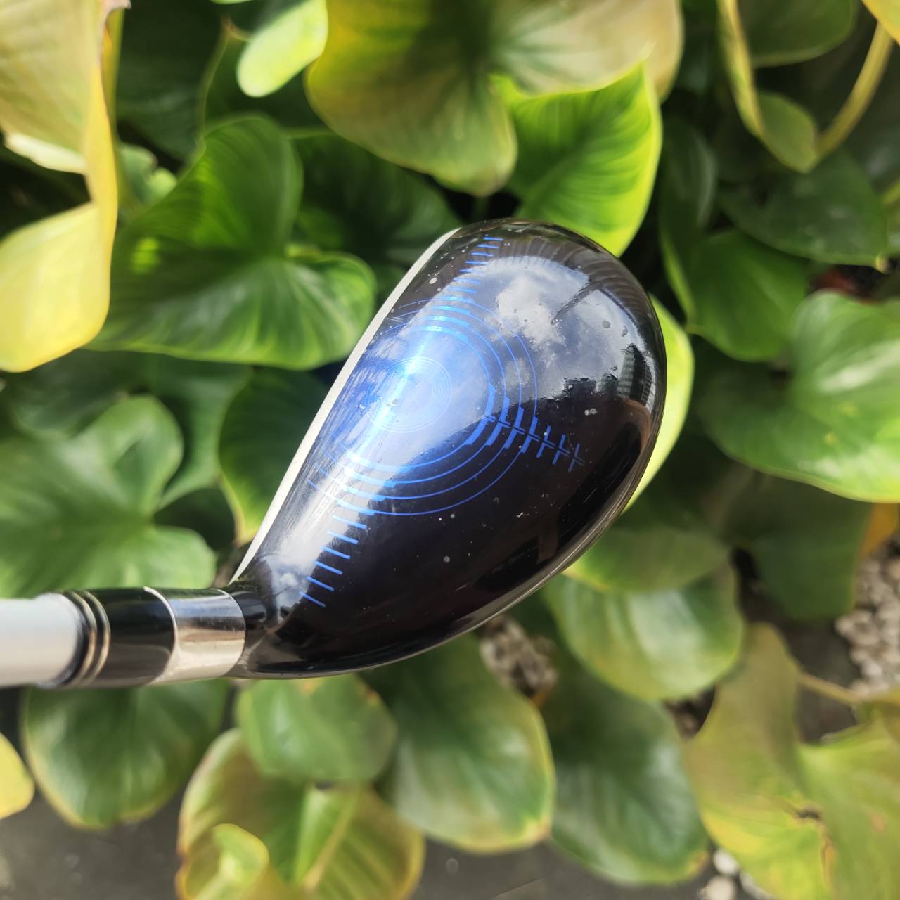 สำหรับซีเนียร์หรือผู้หญิง U3 VIQ CL Loft 22° แบรนด์ญี่ปุ่นคุณภาพสูง ตีง่าย แม่นกรีนระยะไกล