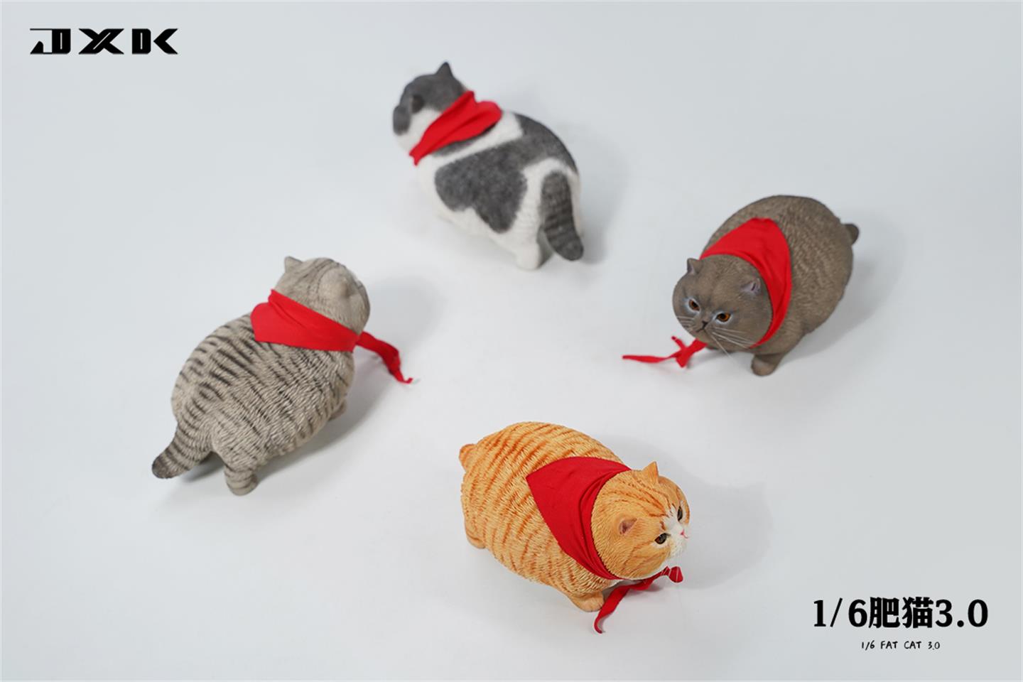 [สั่งจอง]JXK : Animal