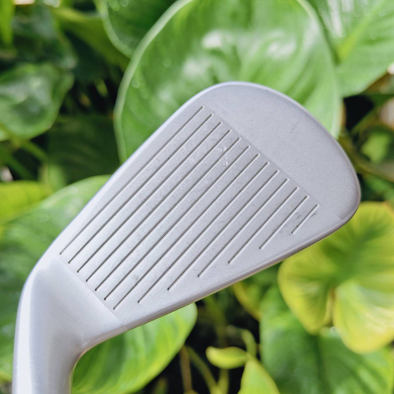 Iron #4 TaylorMade P•790 สุดยอดเหล็กเทคโนโลยีที่ผสาน “ระยะ + ฟีลลิ่ง” ได้อย่างลงตัว