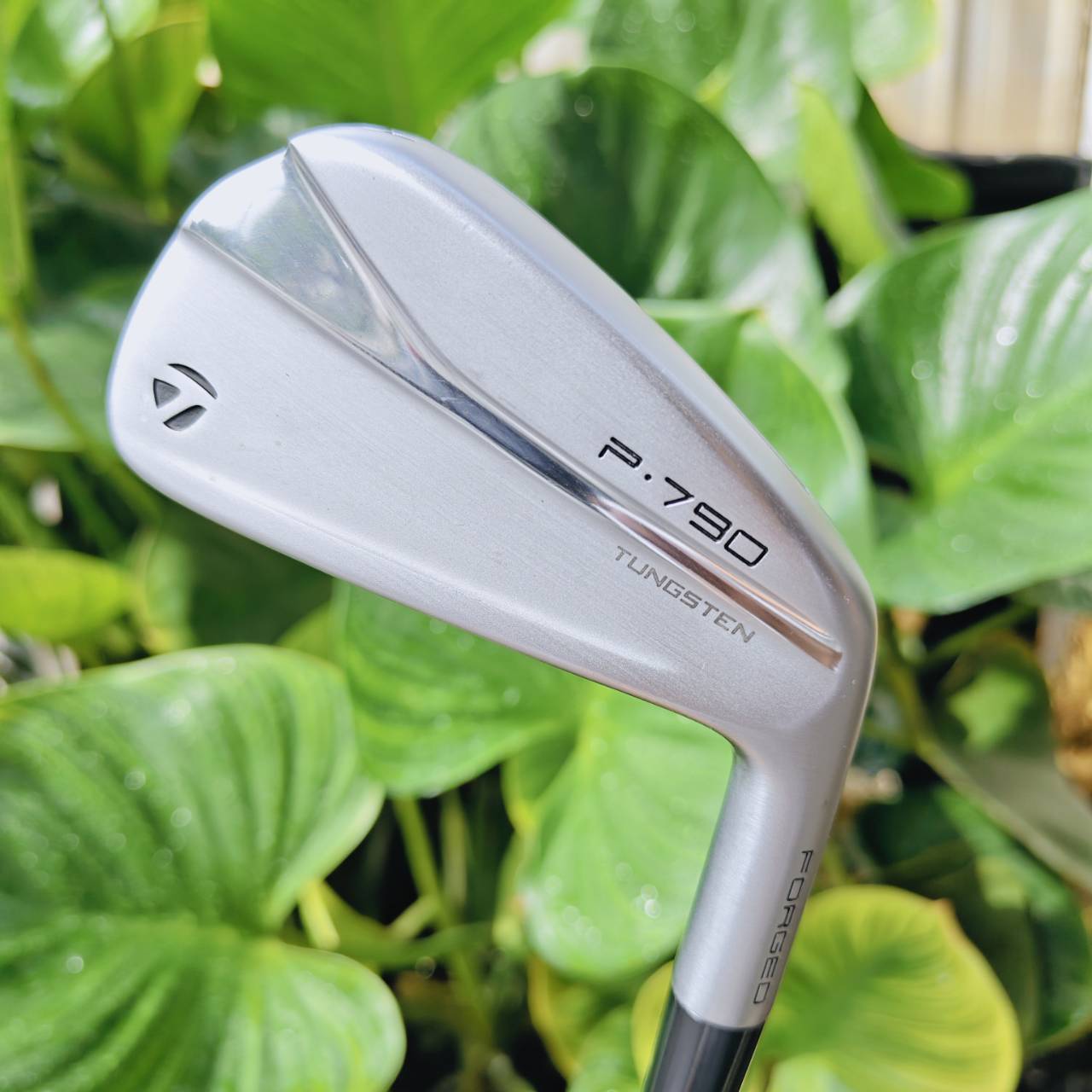 Iron #4 TaylorMade P•790 สุดยอดเหล็กเทคโนโลยีที่ผสาน “ระยะ + ฟีลลิ่ง” ได้อย่างลงตัว