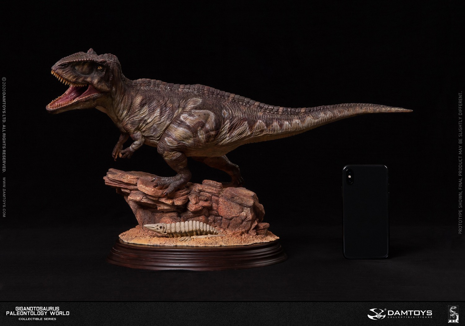 [สั่งจอง] DAMTOYS MUS014 1/25 Museum Collection Series New Item – Giganotos