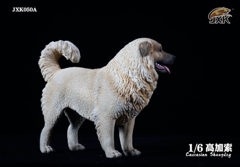 [สั่งจอง]JXK JXK050 1/6 : Caucasian Sheepdog