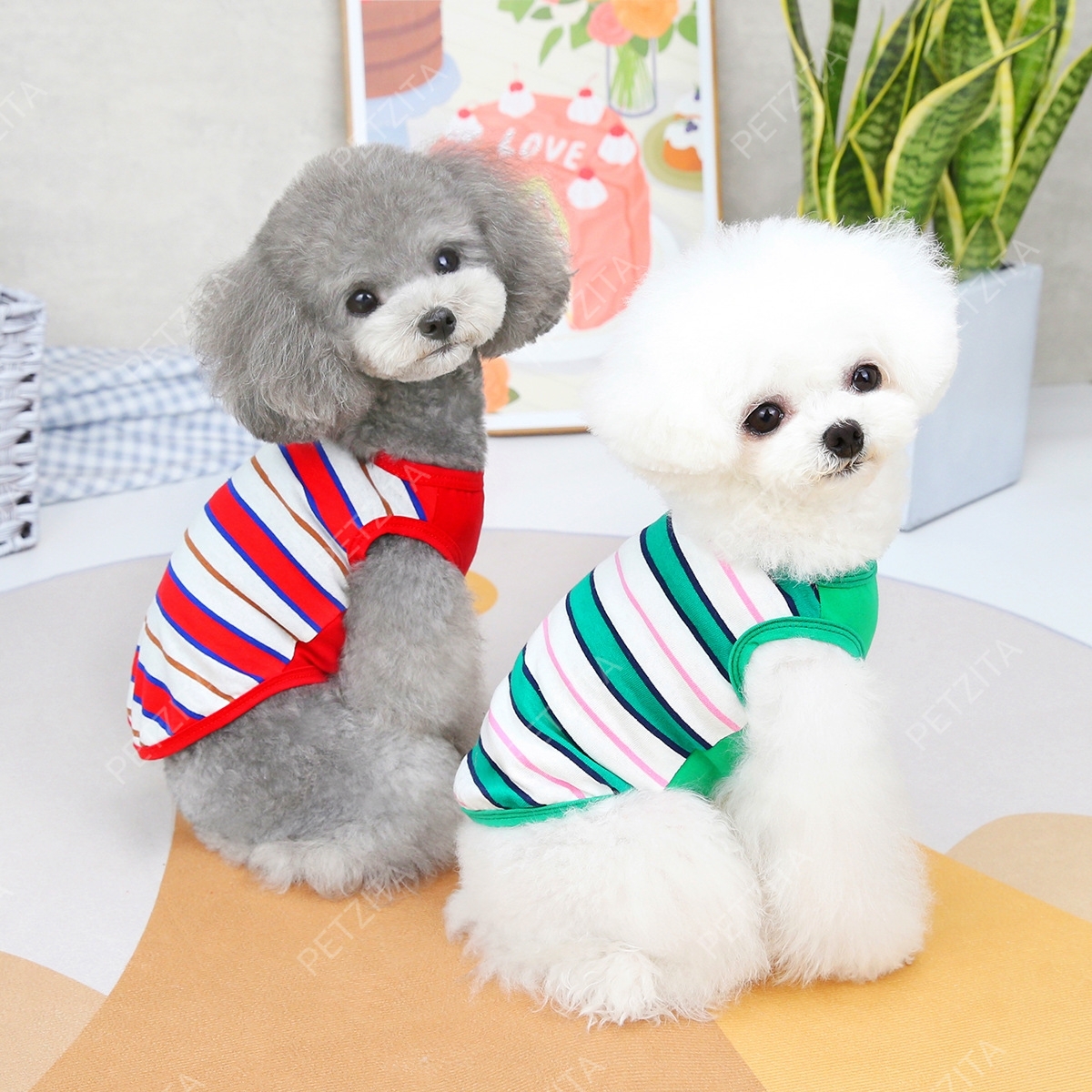 🇹🇭พร้อมส่ง🇹🇭 🐶🐱 เสื้อแขนกุดลายริ้ว สีสดใส น่ารัก ผ้าใส่สบาย for pet เสื้อผ้าสัตว์เลี้ยง สุนัข ชุดหมา ชุดแมว