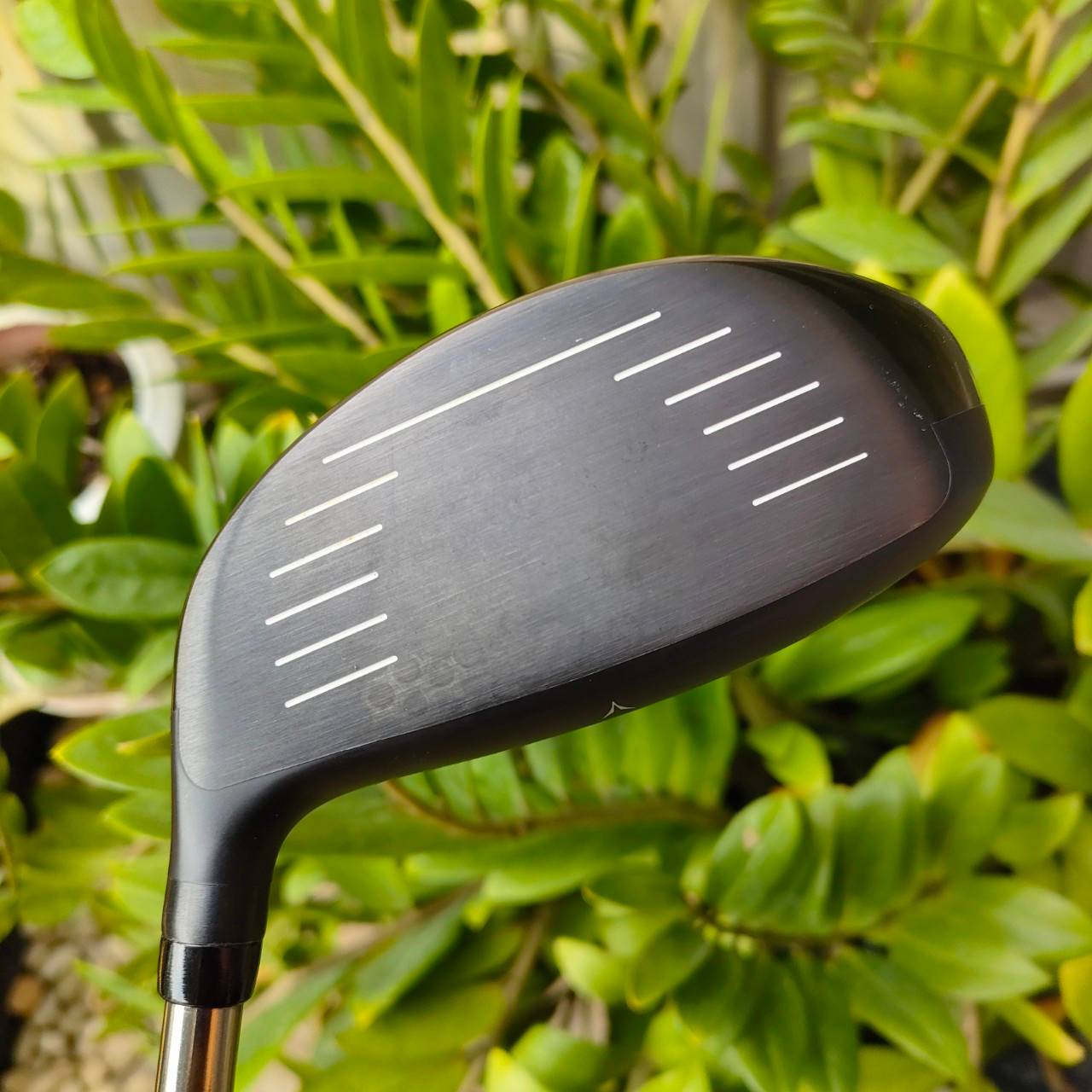 DRIVER KASCO UFO DD องศา 10.5 ก้าน UST MAMIYA ATTAS EZ FLEX S เป็น Driver ที่ตีง่าย และตีตรงที่สุดในยุค มาพร้อมกับ Universal wing ที่จะทำให้ตีตรง ลูกลอยตรงไปยังเป้าหมายอย่างแม่นยำ ไม้กอล์ฟพรีเมี่ยมมือสอง By NakaraLuxurious