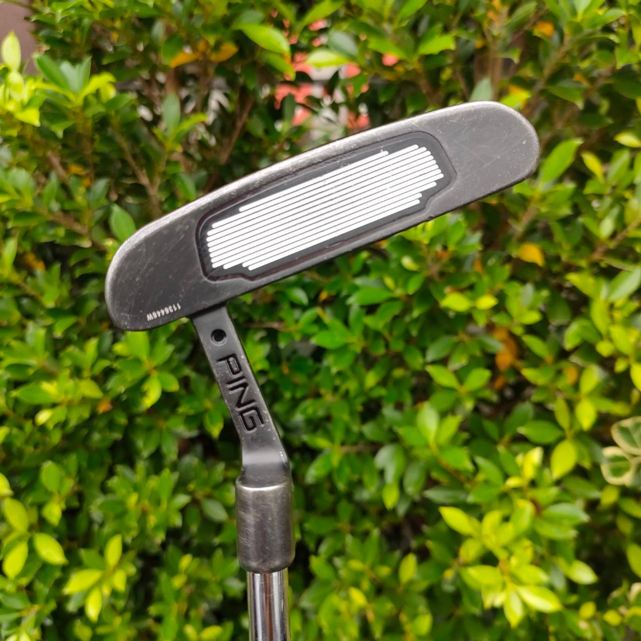 PUTTER PING SCOTTSDALE TR Tomcat S ความยาว 34 นิ้ว สุดยอดคุณภาพ พัตต์ดีมากๆครับ