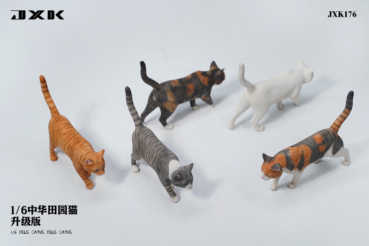 [สั่งจอง] JXK JXK176 1/6 : Felis Catus