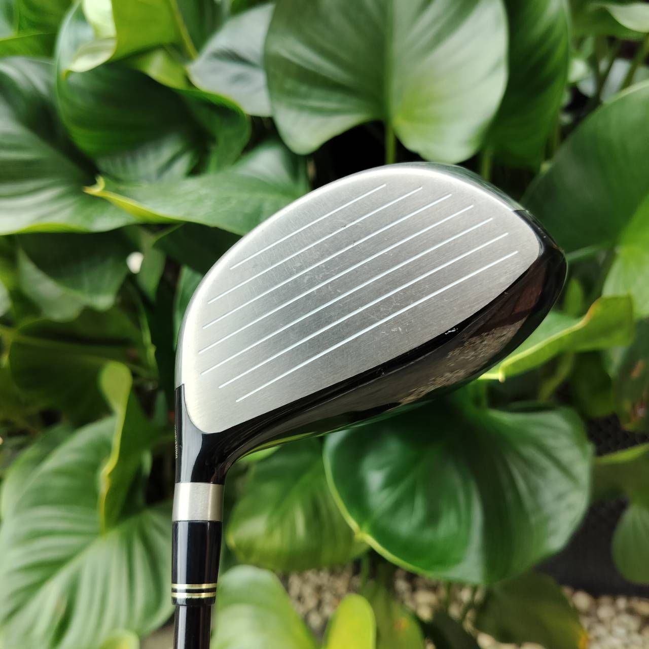 DRIVER SRIXON WR องศา 9.5 ก้าน SV-3011J FLEX S วัสดุดีมากๆ พรีเมี่ยมญี่ปุ่น ตีไกล ไม้กอล์ฟพรีเมี่ยมมือสอง ของแท้ By NakaraLuxurious