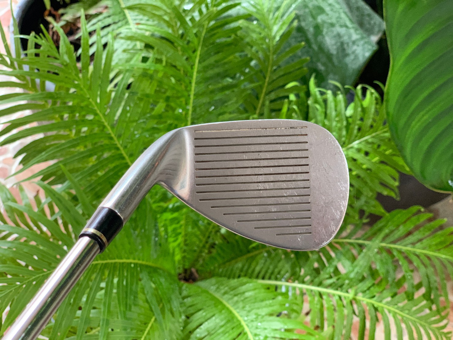 เหล็ก AW wilson staff