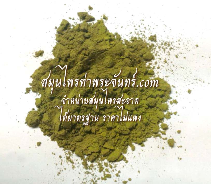 ชาเขียวใบหม่อนผง