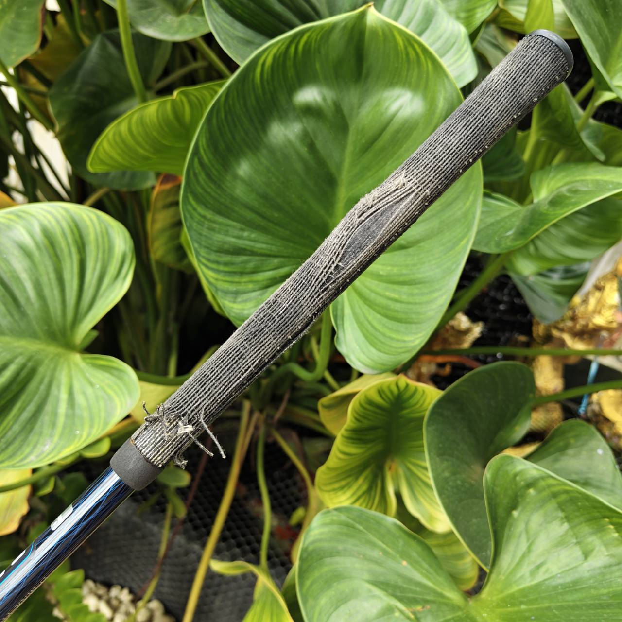 Driver ตัวช่วยตีง่าย! KASCO D-MAX AR รุ่นเหลี่ยมเพชร – เป็นตัวพรีเมี่ยมสูงสุดของ KASCO JAPAN