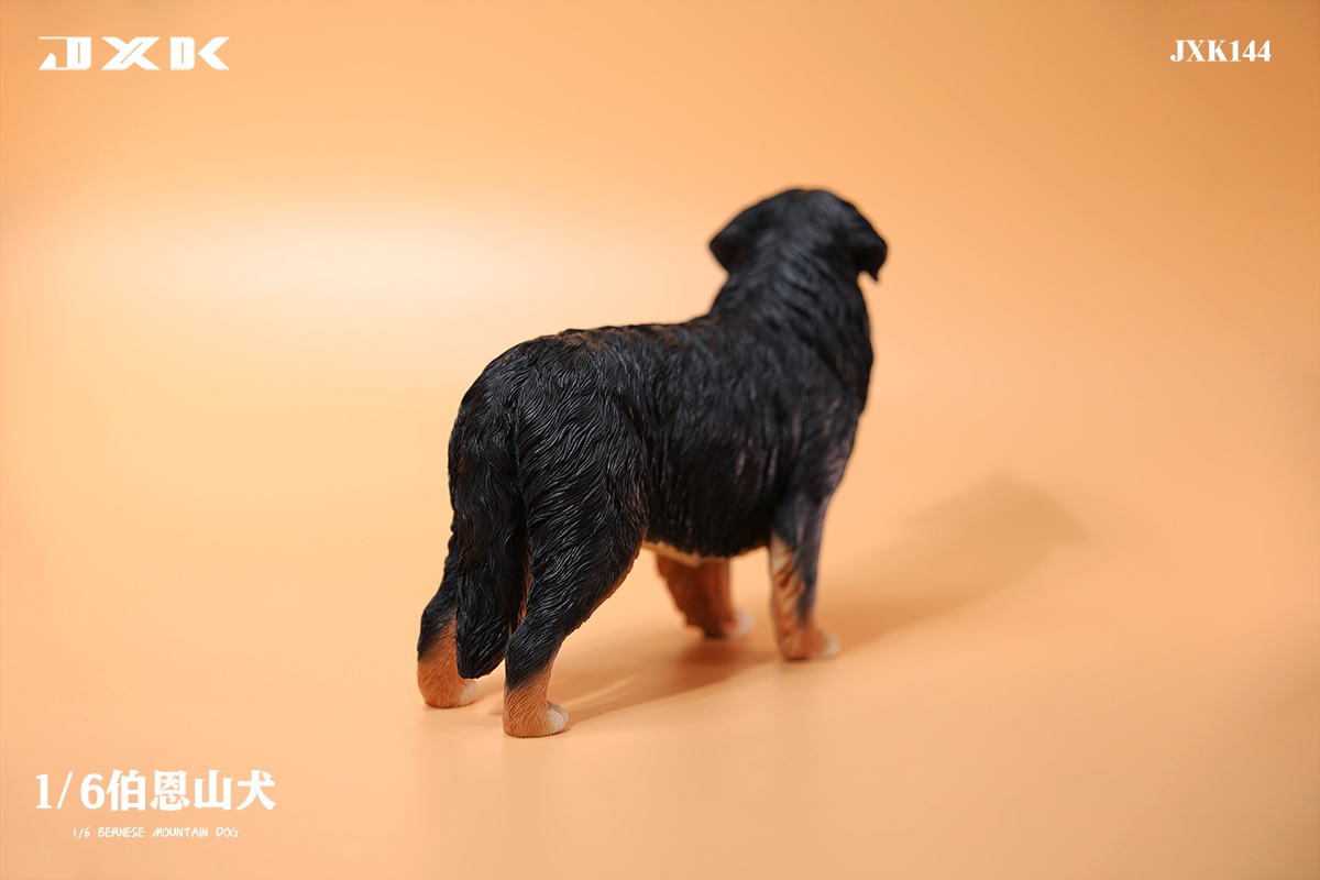 [สั่งจอง]JXK JXK144 1/6 : Bernese Mountain Dog