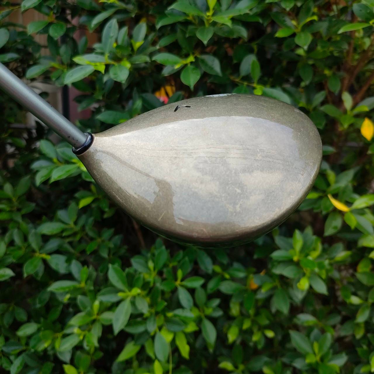 DRIVER CALLAWAY THE BIG GEST องศา 8 ก้าน SUPER 47 FLEX R เป็นตัวดังที่สุด วัสดุไทเทเนี่ยม หัวใหญ่สุด BIGGEST มันส์