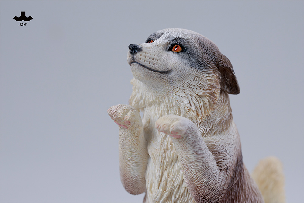 [สั่งจอง]JXK --- Kung Fu Cat ---