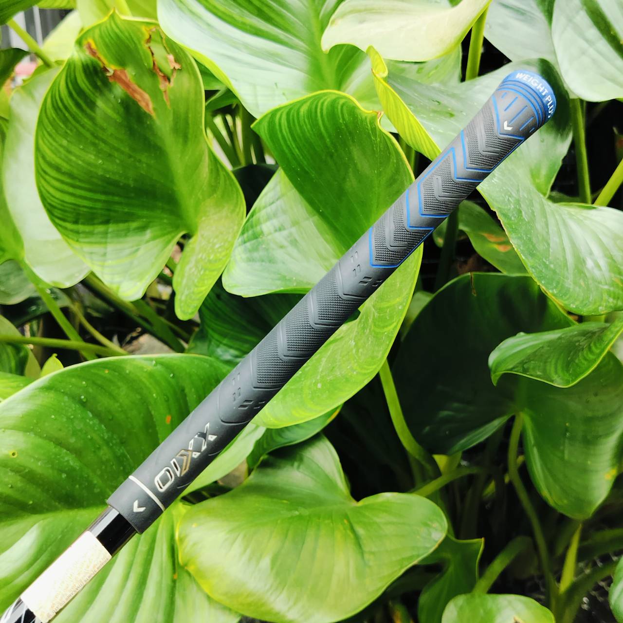 FW3 XXIO ELEVEN องศา 15 ก้านพรีเมี่ยม MP1100 FLEX R เป็นไม้่ที่ได้รางวัลอันดับ 1 ในญี่ปุ่น ไม้กอล์ฟพรีเมี่ยมมือสอง ของแท้ By NakaraLuxurious