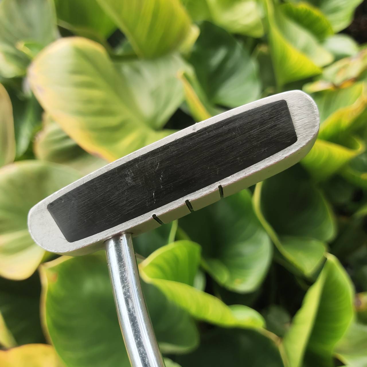 PUTTER ODYSSEY DUAL FORCE ROSSIE II รุ่นหน้าดำทั้งนุ่มและเกาะไลน์มาก รุ่นนี้ยอดนิยมมาก