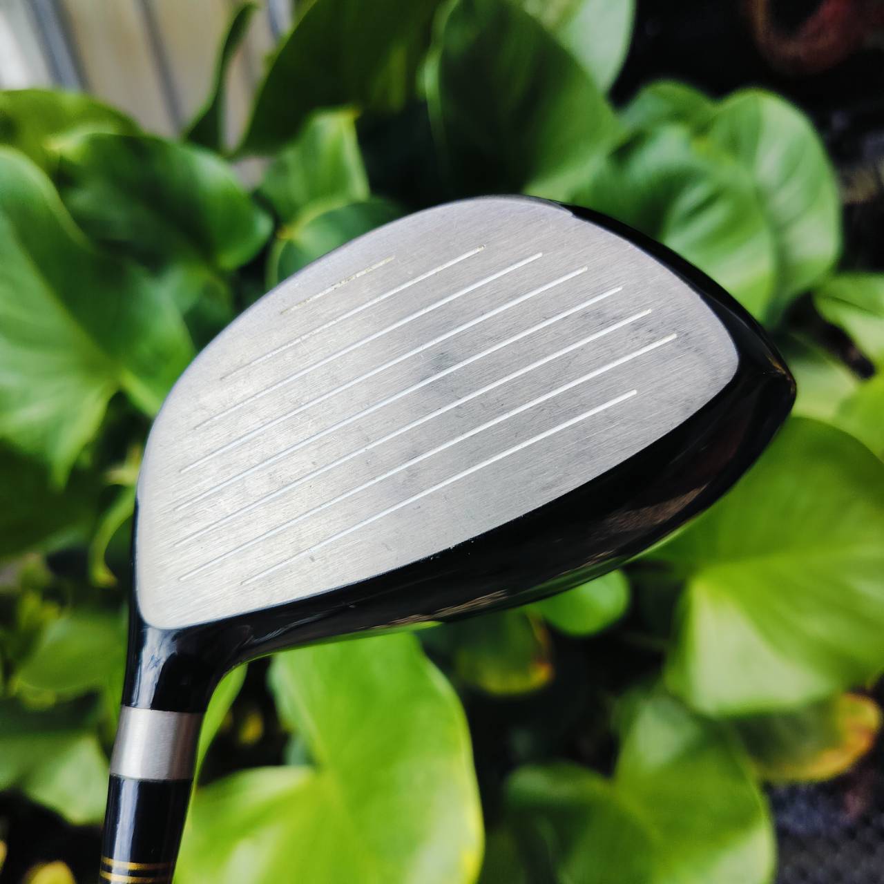Driver SRIXON W-302 องศา 9.5 ก้าน SV-301 FLEX R วัสดุ TITANIUM พรีเมี่ยมของญี่ปุ่น ไม้กอล์ฟพรีเมี่ยมมือสอง ของแท้ By NakaraLuxurious