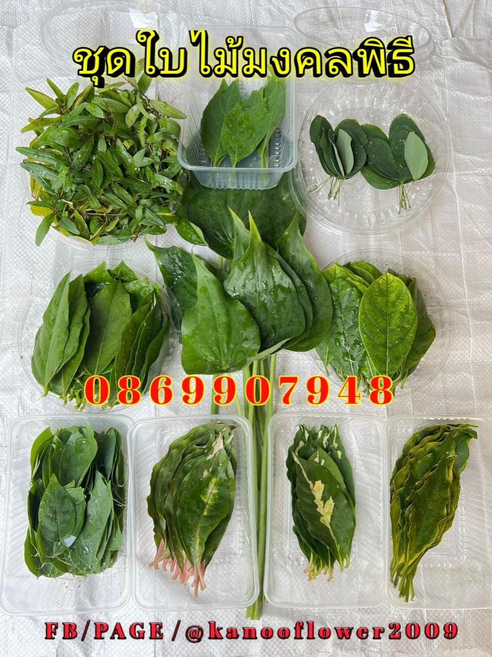 ใบไม้มงคล (พิธี)